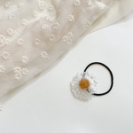 clear daisy