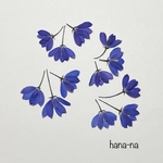 🔷🔹ブルーベル 横向き12輪　＊ 押し花