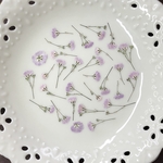 かすみ草八重ピンク(押し花)