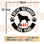 ボーダーコリー ドライブレコーダーステッカー ドラレコ 丸型 可愛いステッカー 犬 給油口 ステッカー リアガラス 車