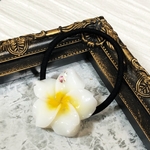 🌸プルメリアのヘアゴム🌸