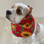 ❤︎サマーセール❤︎ひまわりレッド　中型犬用スヌード　犬用スヌード