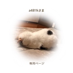 a4811kさま 専用ページ
