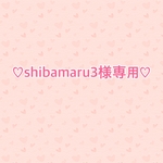 shibamaru3様専用
