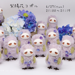 紫陽花コポル(ジト目)