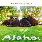 ＊Sweet30様専用ページ＊