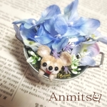 バケツの中からこんにちわん🐾　チワワ　造花　犬　いぬ　わんこ