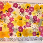 ♡new♡  ♡可愛い押し花セット♡ ♡たくさん入って使いやすい押し花セット♡