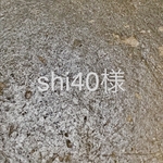 shi40様 淡水パール バロック 