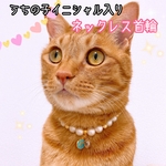 [うちの子イニシャルチャーム付き]オーダー猫の首輪🐈パールビーズ✨ネックレス首輪❤