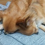 ☆お客様専用窓口☆