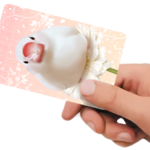 ICカードステッカー 文鳥