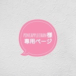 pineapplechan様専用ページ