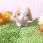 こうさぎのめめちゃん