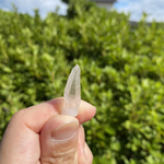 【 一座 】希少 1点物　レムリアンシードクリスタル（ Lemurian Seed Crystal ）2バチカン付き