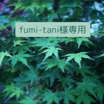 こちらはfumi-tani様専用です。
