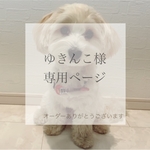 ゆきんこ様専用ページ　わんにゃんエレキギター