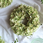ピスタチオカラー柏葉紫陽花のSimpleなリース❁ドライフラワーリース❁紫陽花リース