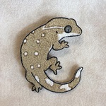サラシノミカドヤモリ