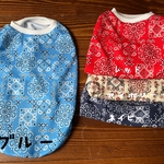 犬服！クールT ブルー☆XS.S.M.DXS.DS.DM
