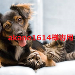 akane1614様専用