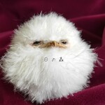 ガマグチヨタカ雛