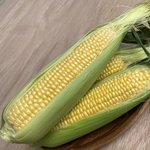 収穫後すぐに発送⭐︎絶品とうもろこし！山梨県産ゴールドラッシュ5本