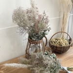 -interior flowers- スモークツリー