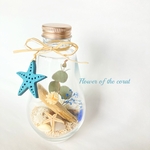 Beach Bottle