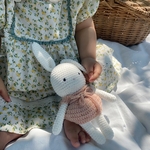 miyukiさま専用 - cherabi mini -  うさぎのあみぐるみ　　　　　〔受注制作〕