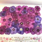♡人気作品♡ 作家様必見！ 落ち着いた大人カラー♡フロックス押し花セット