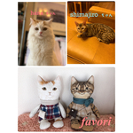 【オーダー様専用】うちの子♥猫人形  ぬいぐるみ