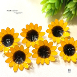 ひまわり～sunflower～ Gカン付き