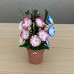 朝顔の花鉢        テラコッタ鉢 5