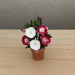 朝顔の花鉢        ミニテラコッタ鉢 3