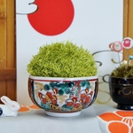 苔玉そっくりピンクッション11　針山Pincushion