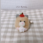 ハーちゃんクリップ🌼*･