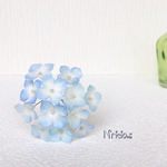 晴れた青空の様な美しい紫陽花ミニ✿枯れない花