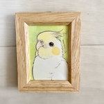 〈専用ページ〉うちの子手乗りミニ原画オーダー／オカメインコ