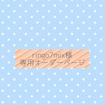🍦ringo7mix様専用オーダーページ🍦