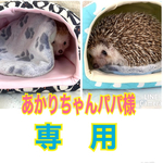 あかりちゃんパパ様　専用です