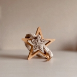 瞬く星の首輪 / 猫 首輪 迷子札