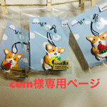 cem様専用ページ