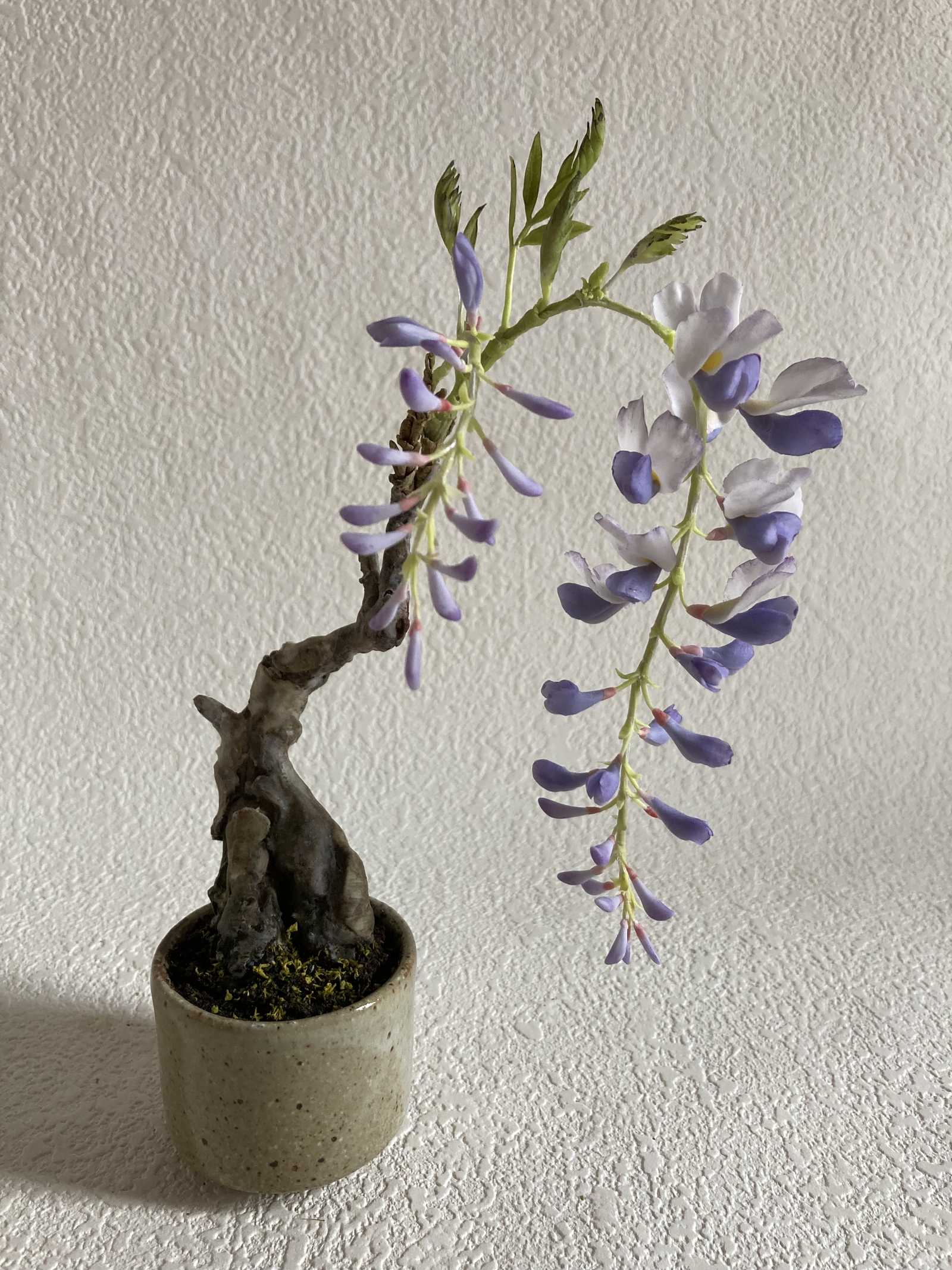 専用　藤の花　クレイフラワー ☆クレイフラワー作品（藤の花の壁掛け）☆ | iichi 日々の