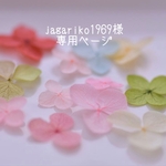 jagariko1969様　専用ページ