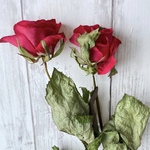 【2本】生花のようなドライフラワー　バラ•赤　d
