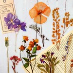 PETシール・植物研究所【お花】フレークシール