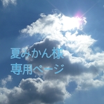 夏みかん様専用ページ
