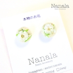 本物のお花の球体ピアス　レジンアクセサリ―