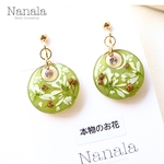 本物のお花のピアス/イヤリング　レジンアクセサリ―